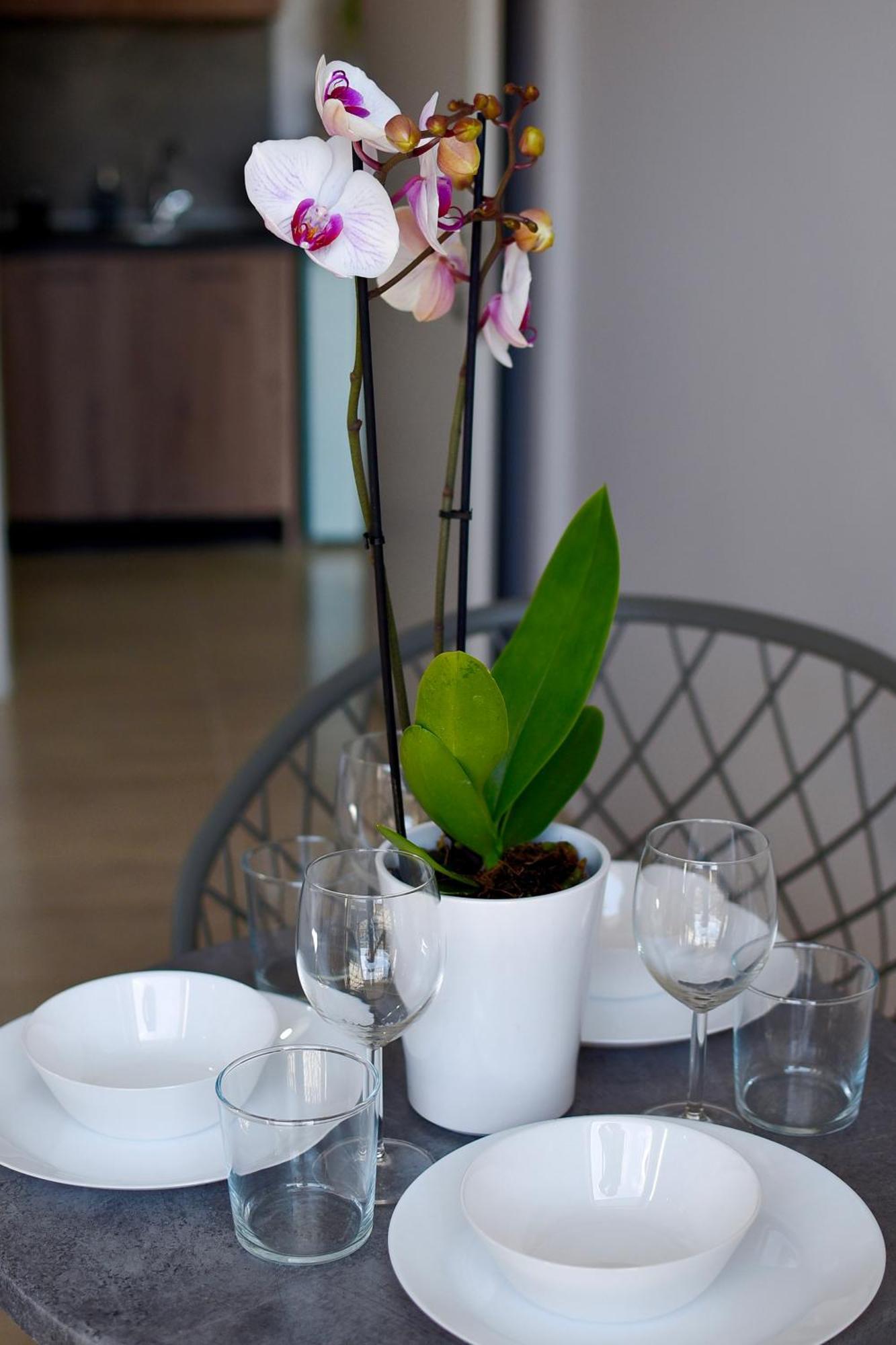 Room Nine 9 Beachfront Apartments Nea Kallikrateia Екстер'єр фото