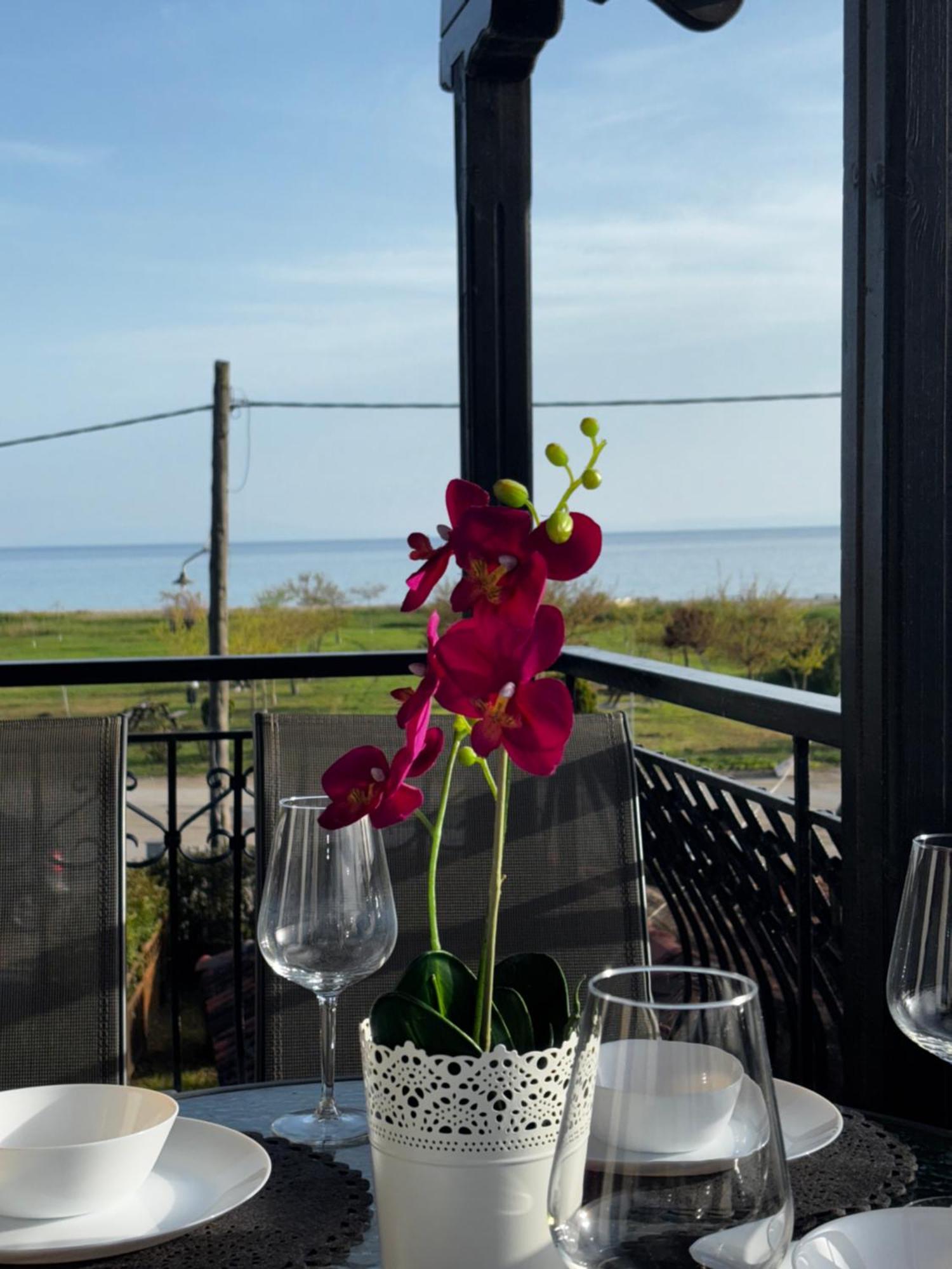Room Nine 9 Beachfront Apartments Nea Kallikrateia Екстер'єр фото